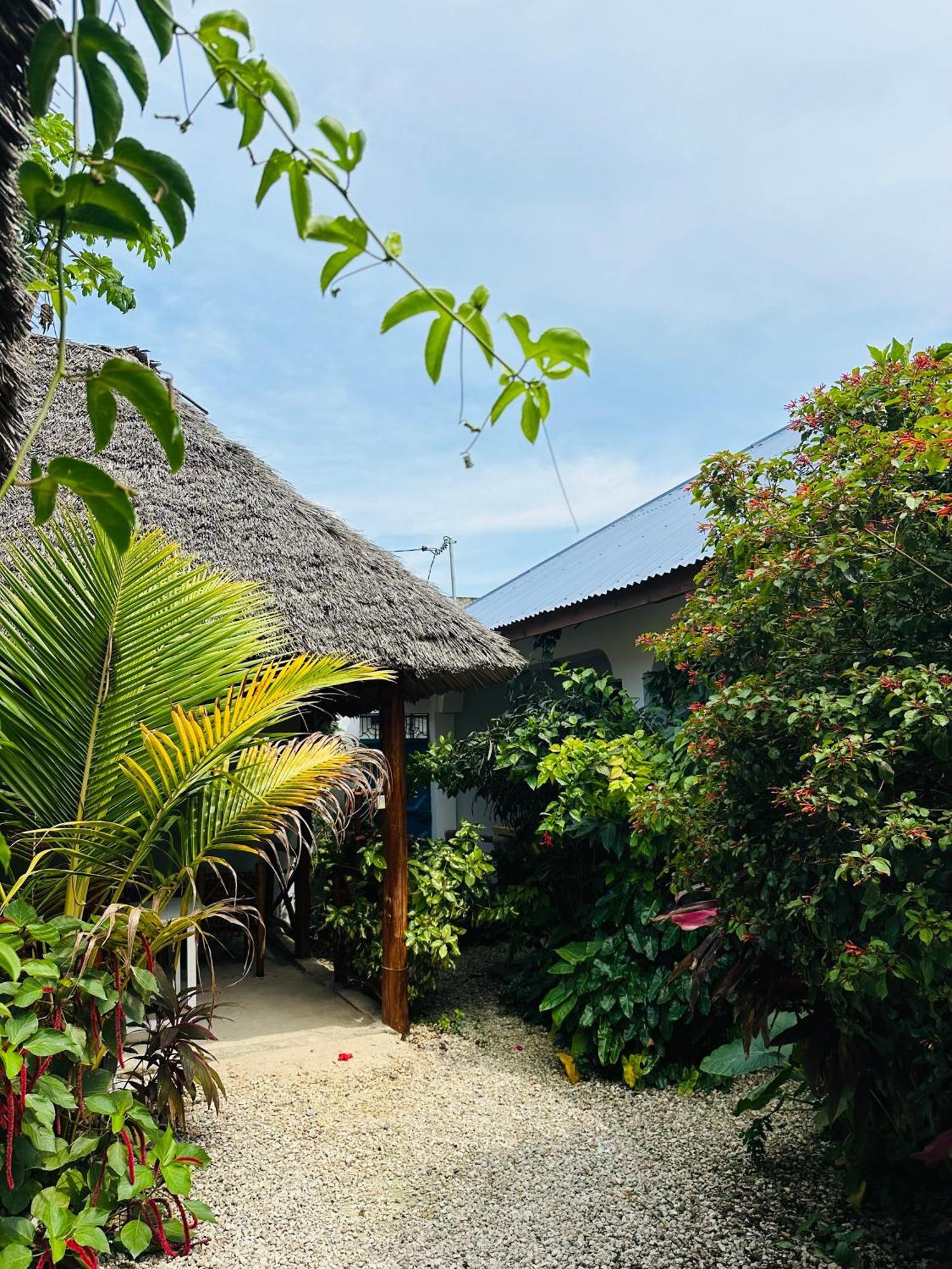 Lighthouse Guesthouse Nungwi Eksteriør bilde